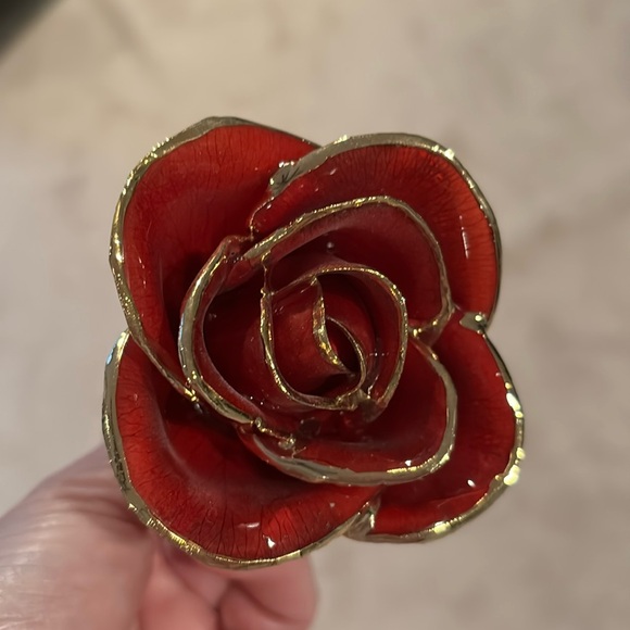 Gold tipped rose - Picture 1 of 4